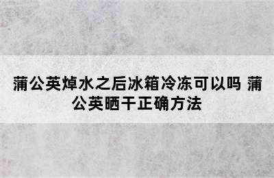 蒲公英焯水之后冰箱冷冻可以吗 蒲公英晒干正确方法